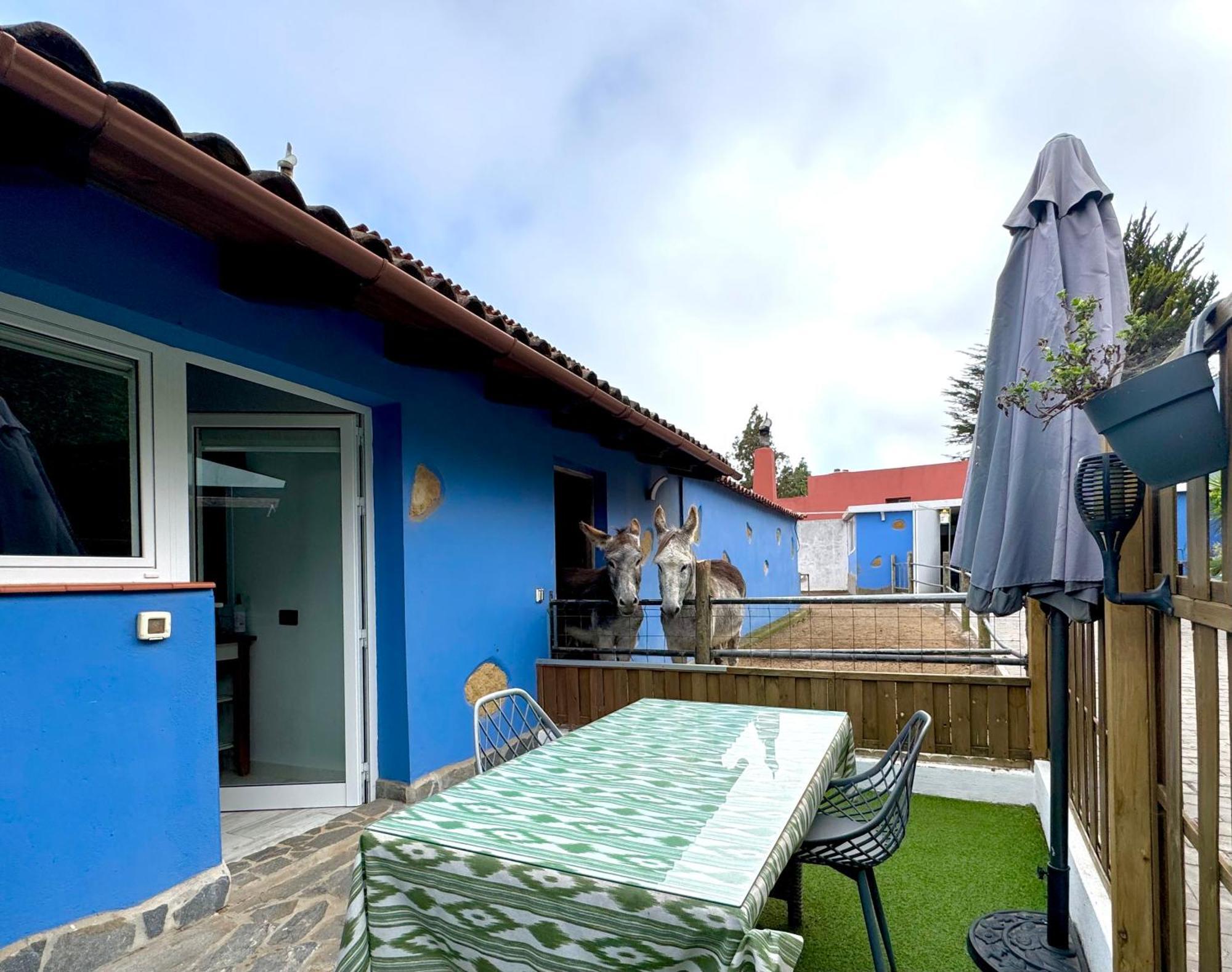 Villa Casa Antigua La Esperanza  Exterior foto